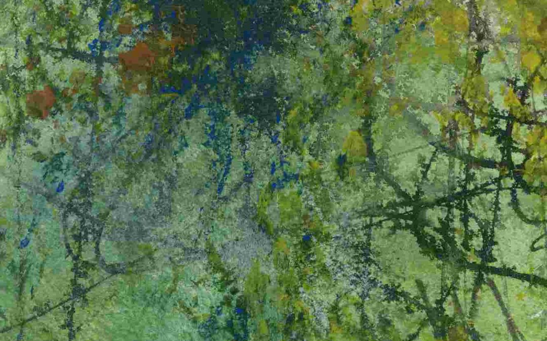 In the Undergrowth III