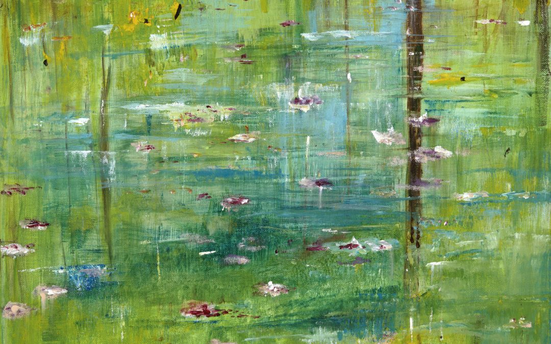 Lily Pond