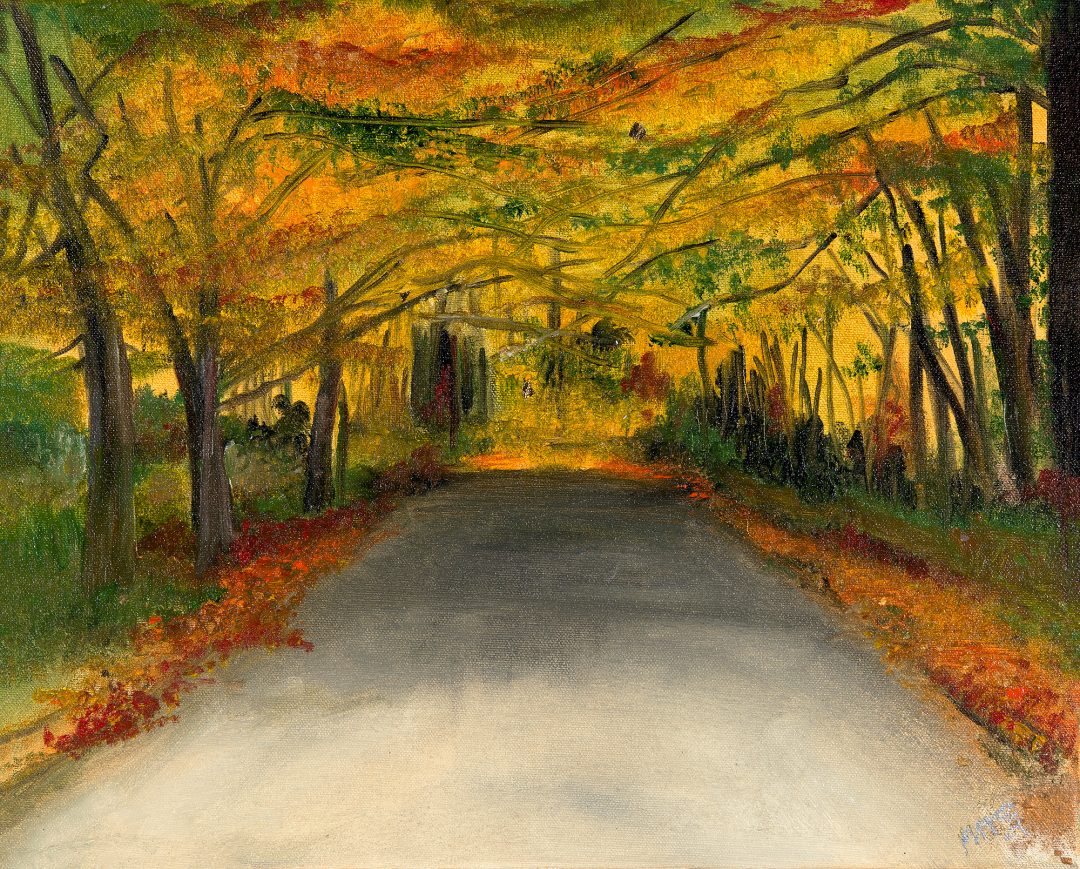 Autumn Walk in the Cotswolds