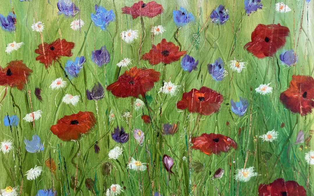 Wild Poppies and Daisies