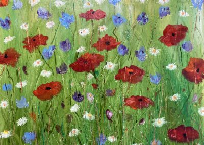 Wild Poppies and Daisies